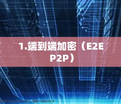 1.端到端加密（E2E P2P）